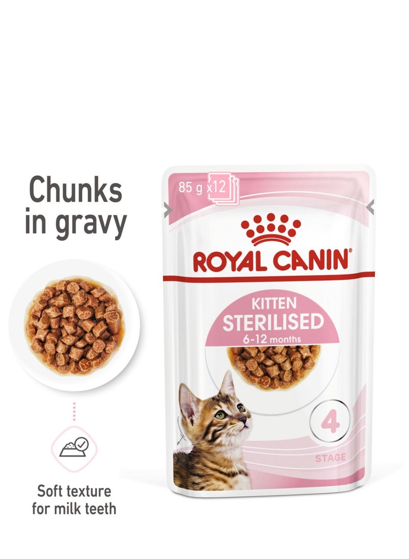 رويال كانين طعام القطط المعقم من شركة فيلين هيلث نيوتريشن للقطط من عمر 6 إلى 12 شهرًا (طعام رطب - 12 كيسًا) 12 × 85 جرامًا - Image 2