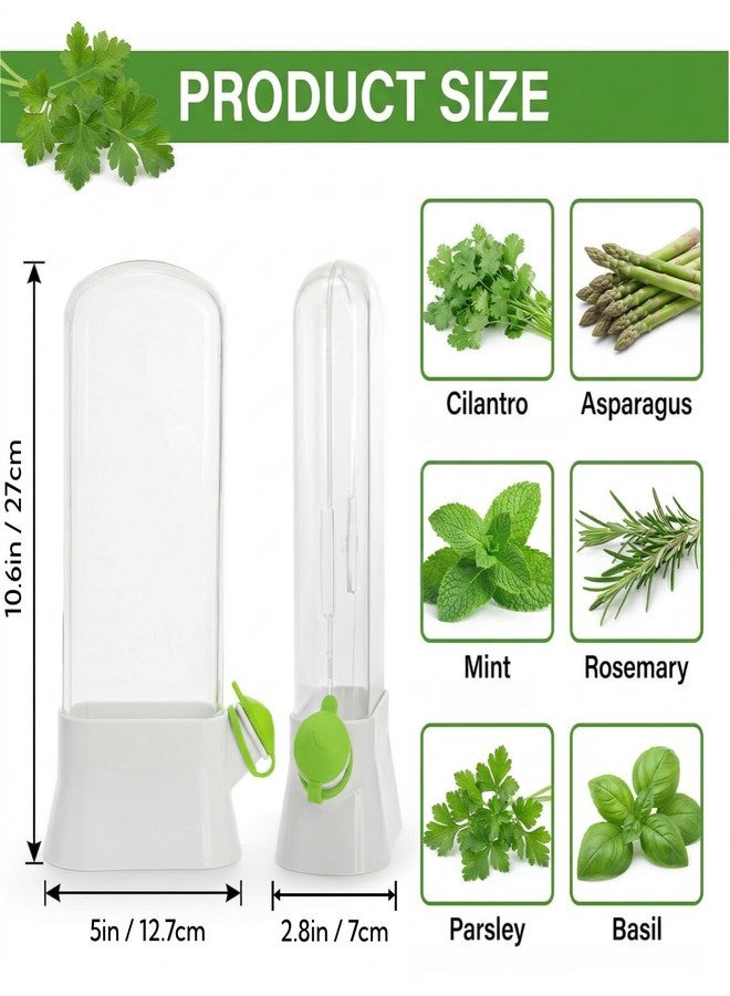 Jowgut 2 Pack Herb Saver for Refrigerator, Fresh Herb Keeper Preserver, Safe Herb Saver Pod, Clear Vegetable Preservation Storage Container for Cilantro Parsley Asparagus Mint - Image 2