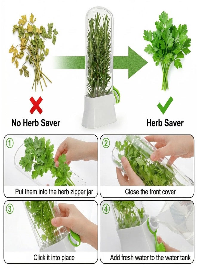Jowgut 2 Pack Herb Saver for Refrigerator, Fresh Herb Keeper Preserver, Safe Herb Saver Pod, Clear Vegetable Preservation Storage Container for Cilantro Parsley Asparagus Mint - Image 4