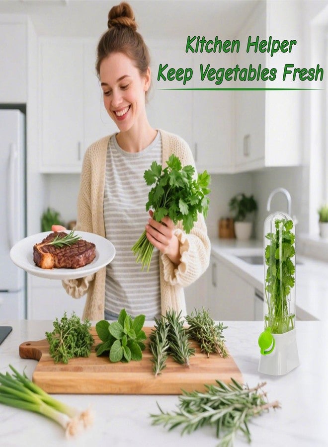 Jowgut 2 Pack Herb Saver for Refrigerator, Fresh Herb Keeper Preserver, Safe Herb Saver Pod, Clear Vegetable Preservation Storage Container for Cilantro Parsley Asparagus Mint - Image 5