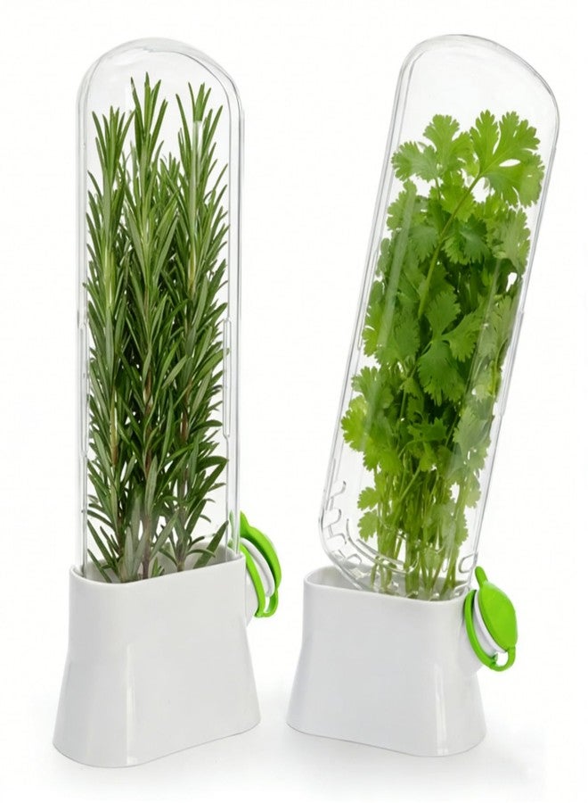 Jowgut 2 Pack Herb Saver for Refrigerator, Fresh Herb Keeper Preserver, Safe Herb Saver Pod, Clear Vegetable Preservation Storage Container for Cilantro Parsley Asparagus Mint - Image 1