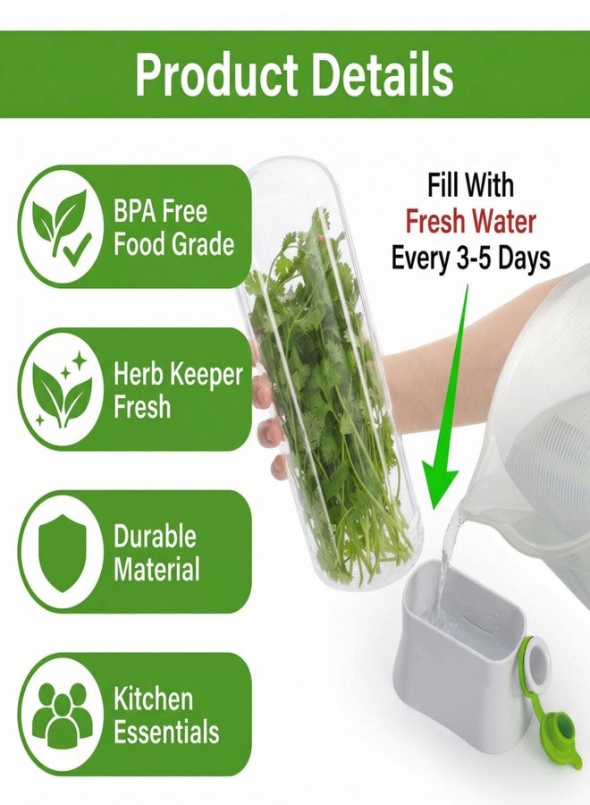 Jowgut 2 Pack Herb Saver for Refrigerator, Fresh Herb Keeper Preserver, Safe Herb Saver Pod, Clear Vegetable Preservation Storage Container for Cilantro Parsley Asparagus Mint - Image 3
