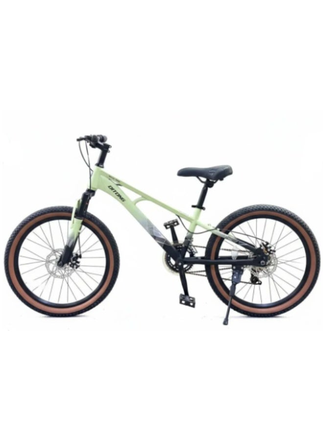 Qitong 22-Inch Bicycle, Green