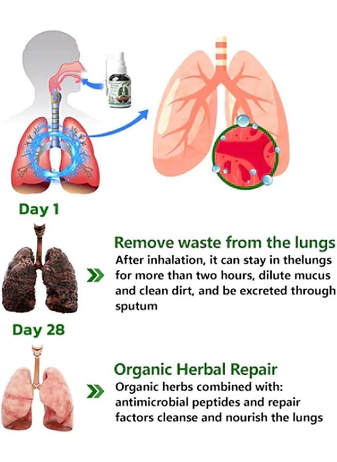 Generic Googeer Herbal Lung Cleanse Mist - Respinature Herbal Lung Cleanse Mist, Powerful Lung Support, Respinature Herbal Spray, Herbal Mist for Lung Discomfort  - Image 5