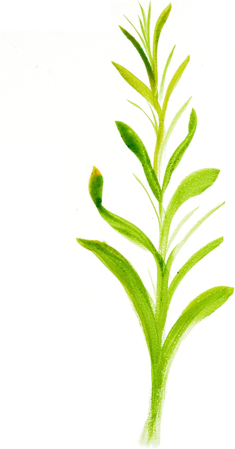 Creative Mark Professional Artist FX Special Effects Paint Brush Set - 10 High Quality Brushes - Image 4