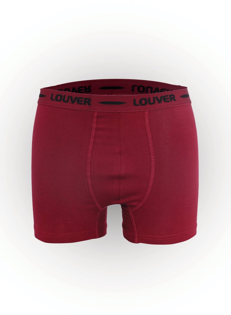 LOUVER 6 Pack Men's Underwear & Briefs Underwear, Breathable and Moisture-Proof Elastic Cotton Boxer Briefs, New Low Rise Size