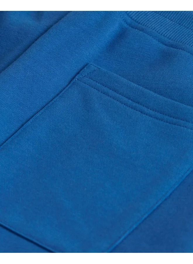 GANT Gant Regular Shield Sweat Shorts