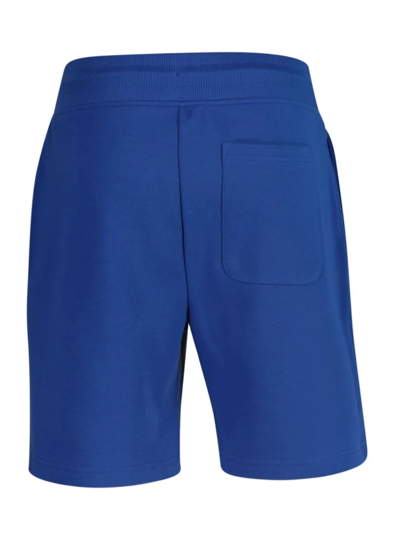 غانت Gant Regular Shield Sweat Shorts