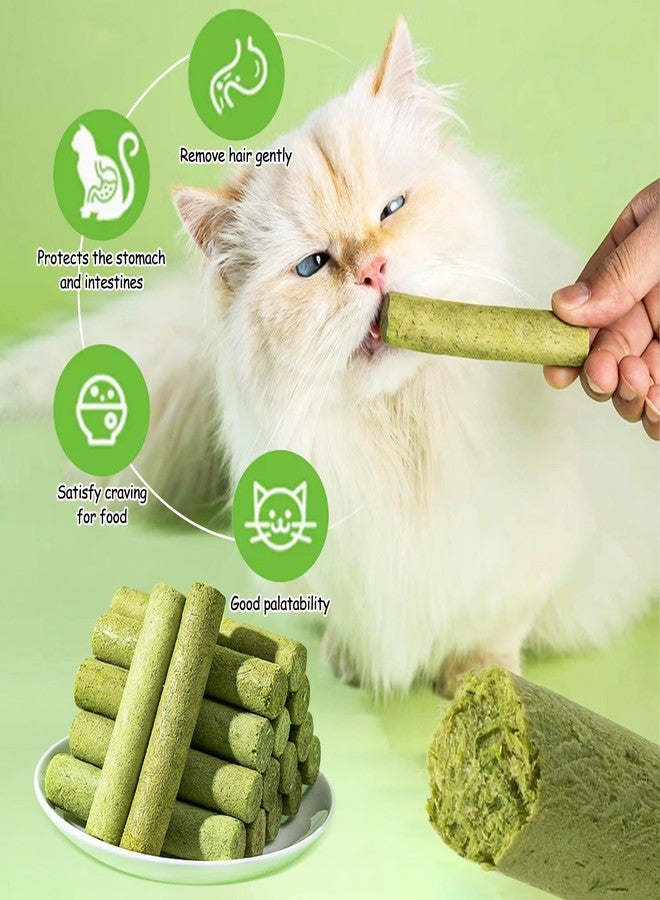 HavenJanny 50g Cat Grass Teething Stick, Freezed Drying Cat Grass Sticks Snacks for Cats, Edible Cat Treats for Teeth Cleaning and Hairball Removal - Image 5