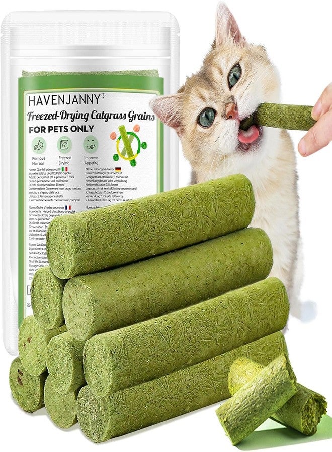 HavenJanny 50g Cat Grass Teething Stick, Freezed Drying Cat Grass Sticks Snacks for Cats, Edible Cat Treats for Teeth Cleaning and Hairball Removal - Image 1
