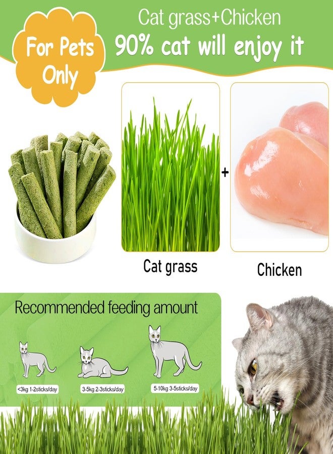 HavenJanny 50g Cat Grass Teething Stick, Freezed Drying Cat Grass Sticks Snacks for Cats, Edible Cat Treats for Teeth Cleaning and Hairball Removal - Image 2