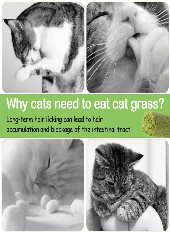 HavenJanny 50g Cat Grass Teething Stick, Freezed Drying Cat Grass Sticks Snacks for Cats, Edible Cat Treats for Teeth Cleaning and Hairball Removal - Image 3