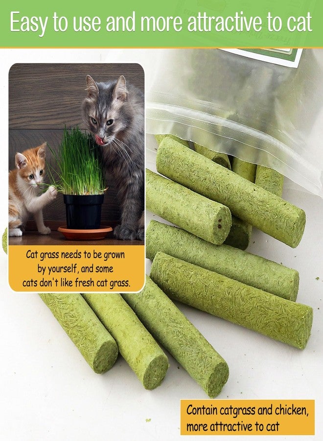 HavenJanny 50g Cat Grass Teething Stick, Freezed Drying Cat Grass Sticks Snacks for Cats, Edible Cat Treats for Teeth Cleaning and Hairball Removal - Image 4