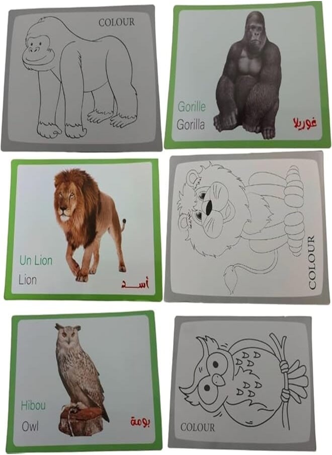 null - 40 pieces of double-sided paper. One side has a picture of the animal with its name in Arabic and English, and the other side has a drawing of the animal in black and white. - Image 1