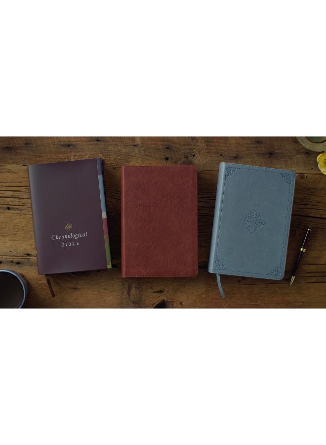 ESV Chronological Bible (Trutone, Paris Sky, Fleur - Image 4