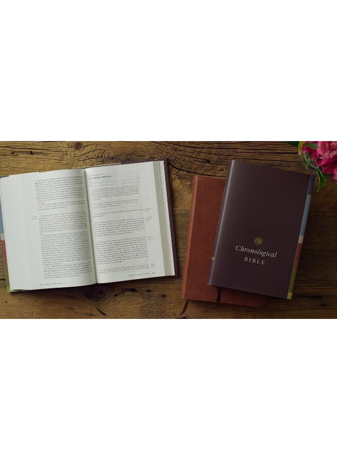 ESV Chronological Bible (Trutone, Paris Sky, Fleur - Image 5