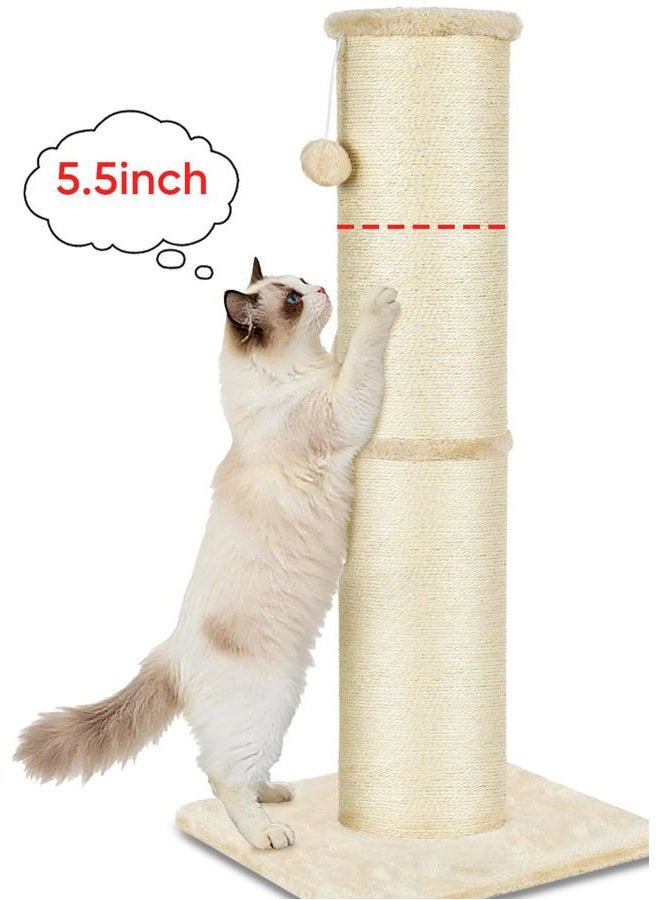 PAWSCRAT عمود خدش القطط بارتفاع 32 بوصة وقطر كبير 5.5 بوصة من خيوط السيزال الطبيعية، خدش مقاوم ودائم، عمود خدش طويل للقطط الداخلية، يحمي أثاثك، بيج - Image 1