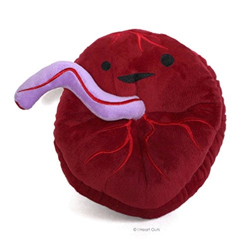 I Heart Guts Placenta Plush Cute Educational Organ Toy for Childbirth Postpartum Funny Get Well Recovery Gift for Labor Delivery Nurse Patients Medical Student STEM Anatomy Plushie - Image 1