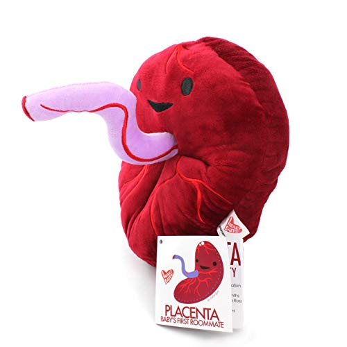 I Heart Guts Placenta Plush Cute Educational Organ Toy for Childbirth Postpartum Funny Get Well Recovery Gift for Labor Delivery Nurse Patients Medical Student STEM Anatomy Plushie - Image 5