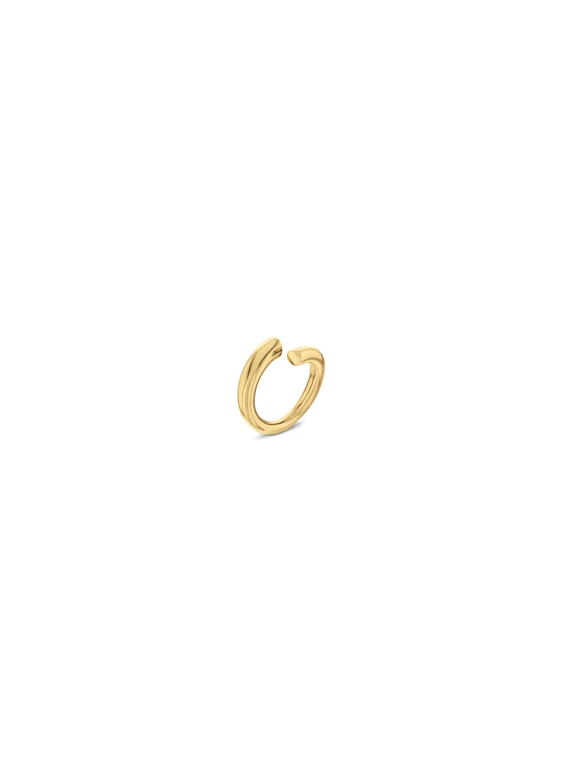 كالفن كلاين Ionic  Plated Ring