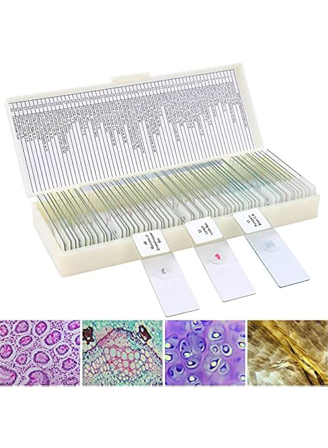 Arabest 60 Microscope Slides Featuring Specimens for Children and Adults, Microbiology Slides for Kids and Adults  - Image 1