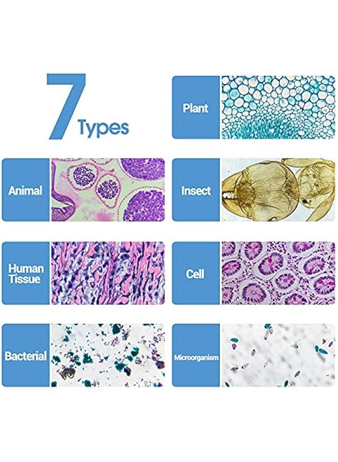 Arabest 60 Microscope Slides Featuring Specimens for Children and Adults, Microbiology Slides for Kids and Adults  - Image 2