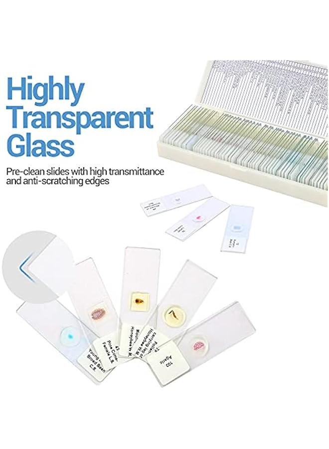 Arabest 60 Microscope Slides Featuring Specimens for Children and Adults, Microbiology Slides for Kids and Adults  - Image 3