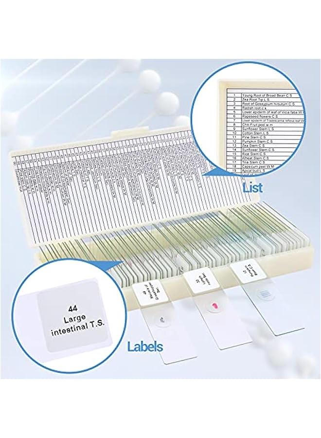 Arabest 60 Microscope Slides Featuring Specimens for Children and Adults, Microbiology Slides for Kids and Adults  - Image 4