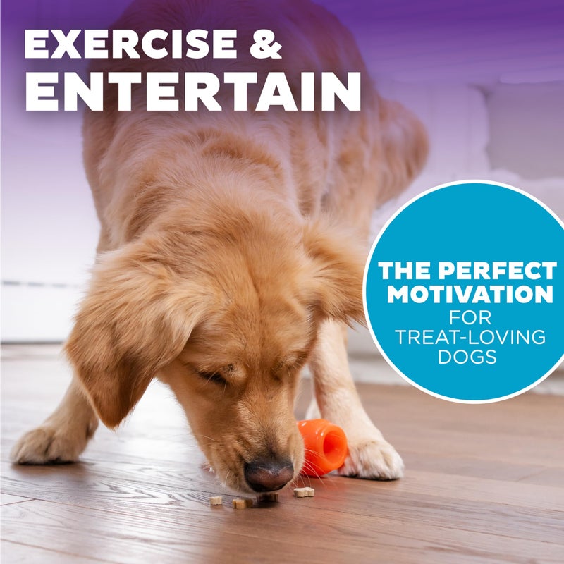 Outward Hound by Planet Dog Foodies Carrot Treat-Dispensing Dog Chew Toy, Orange - Image 5