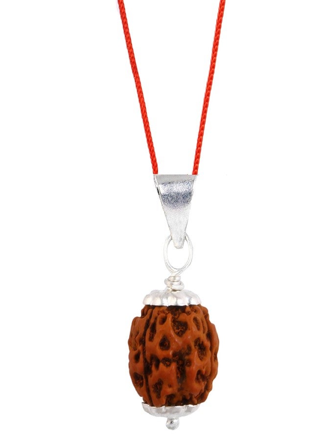 SIDHARTH GEMS Nepali Lab Certified 7 Mukhi Rudraksha Pendant Original Sacred for Meditation and Spiritual Growth Inner Peace | Brown for Men & Women [SIDHARTH7695] - Image 2