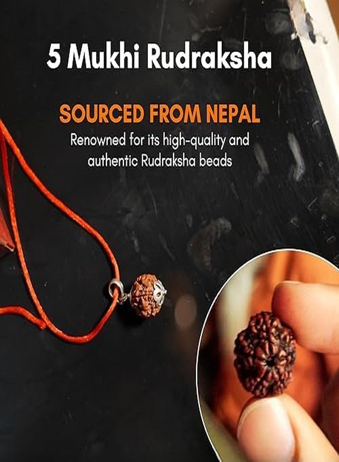 SIDHARTH GEMS Nepali Lab Certified 7 Mukhi Rudraksha Pendant Original Sacred for Meditation and Spiritual Growth Inner Peace | Brown for Men & Women [SIDHARTH7695] - Image 4