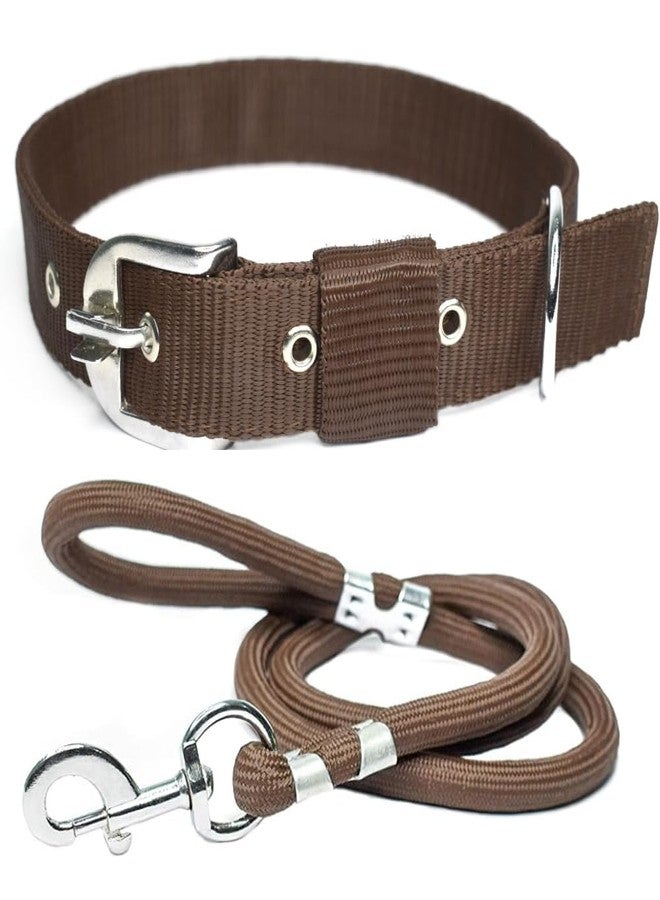 Fondle Dog Chain Collar with Leash Set, Brown, Nylon and Stainless Steel, Medium to Large, Heavy Duty, Adjustable Buckle, 2 Piece - Image 1