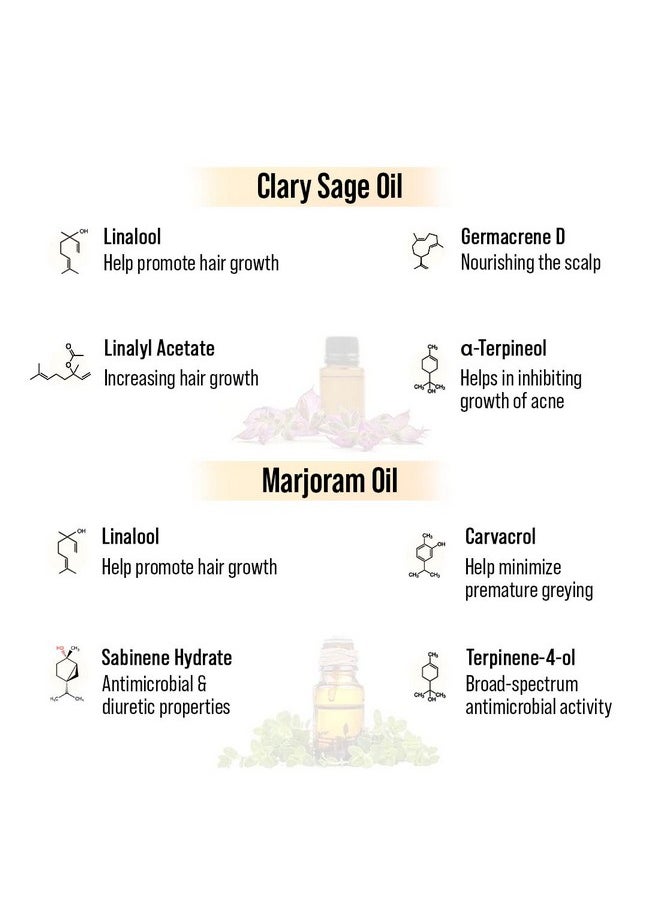 Keya Seth Aromatherapy Keya Seth Aromatherapy, Alopex Long N Strong Hair Oil With Rosemary & Tea Tree Oil - Reduces Hair Fall & Nourishes Hair Follicles 100Ml  - Image 2