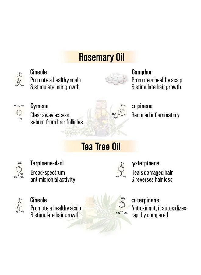 Keya Seth Aromatherapy Keya Seth Aromatherapy, Alopex Long N Strong Hair Oil With Rosemary & Tea Tree Oil - Reduces Hair Fall & Nourishes Hair Follicles 100Ml  - Image 4