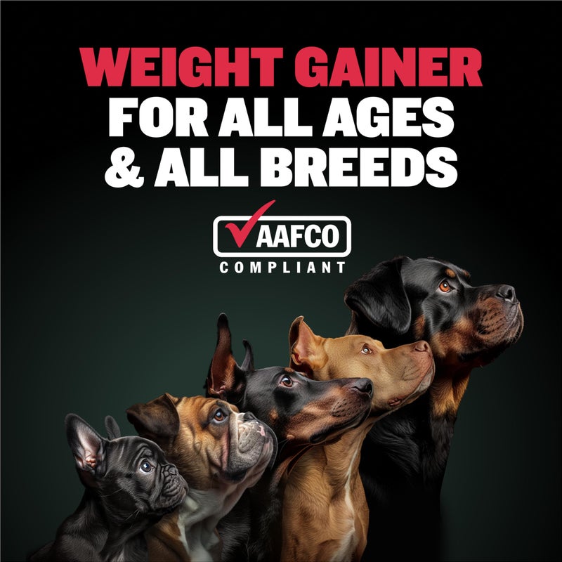 Bully Max Weight Gainer Liquid for Puppies & Adult Dogs - 2-in-1 High Calorie Multivitamin Dog Supplements & Vitamins for Weight Gain with Omega 3 & Whey Protein for All Breeds & Ages - 16 oz Bag - Image 2