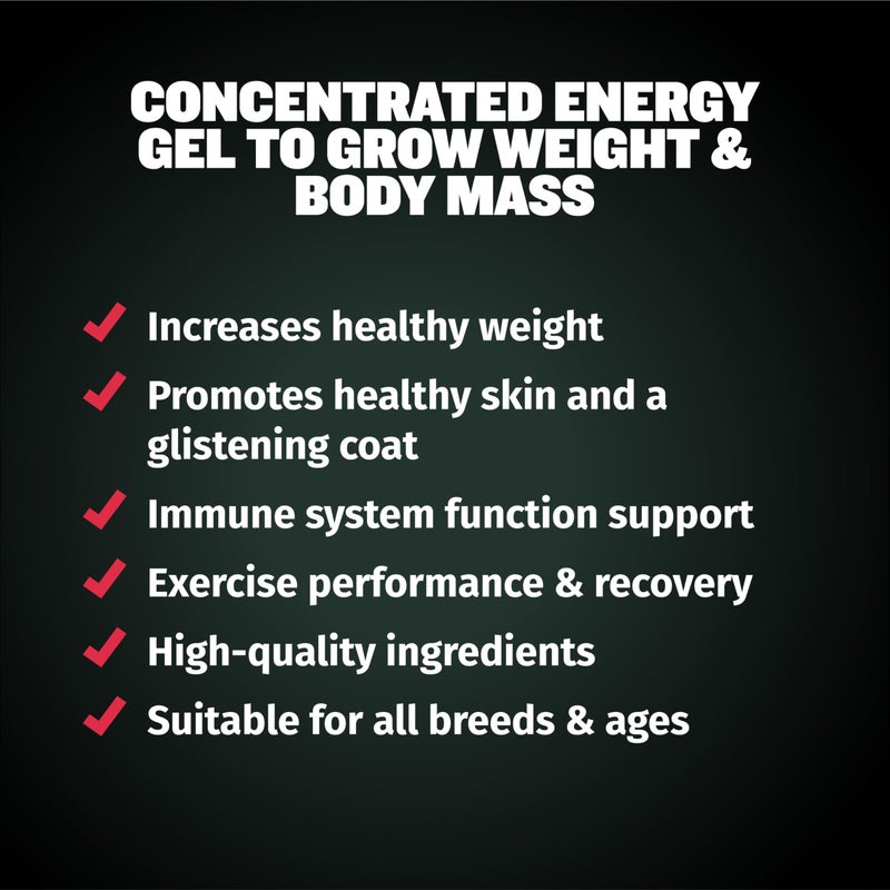 Bully Max Weight Gainer Liquid for Puppies & Adult Dogs - 2-in-1 High Calorie Multivitamin Dog Supplements & Vitamins for Weight Gain with Omega 3 & Whey Protein for All Breeds & Ages - 16 oz Bag - Image 5