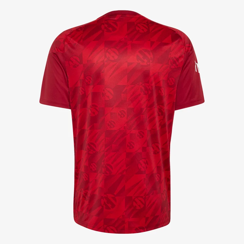 Adidas Originals  Liverpool FC 26/27 Pre Match Jersey for Men | Best Price UAE