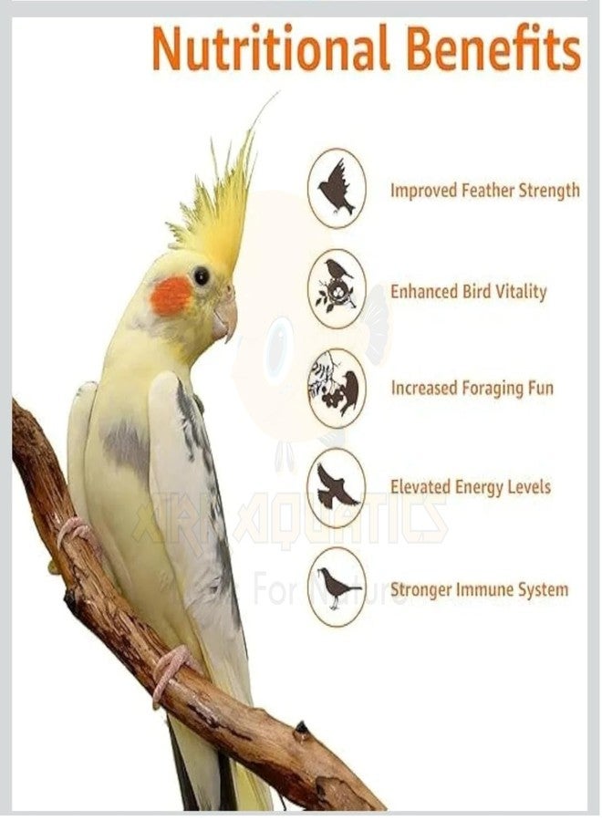 ARK AQUATICS دخن ذيل الثعلب من شركة ARK Aquatics (كانجني)، طعام طيور لجميع مراحل الحياة: الكناري، العصافير، طيور الشمع، الببغاوات، طيور الحب، الكوكاتيل، الببغاوات، والباراكيت، دخن ممتاز (450 جم). - Image 3