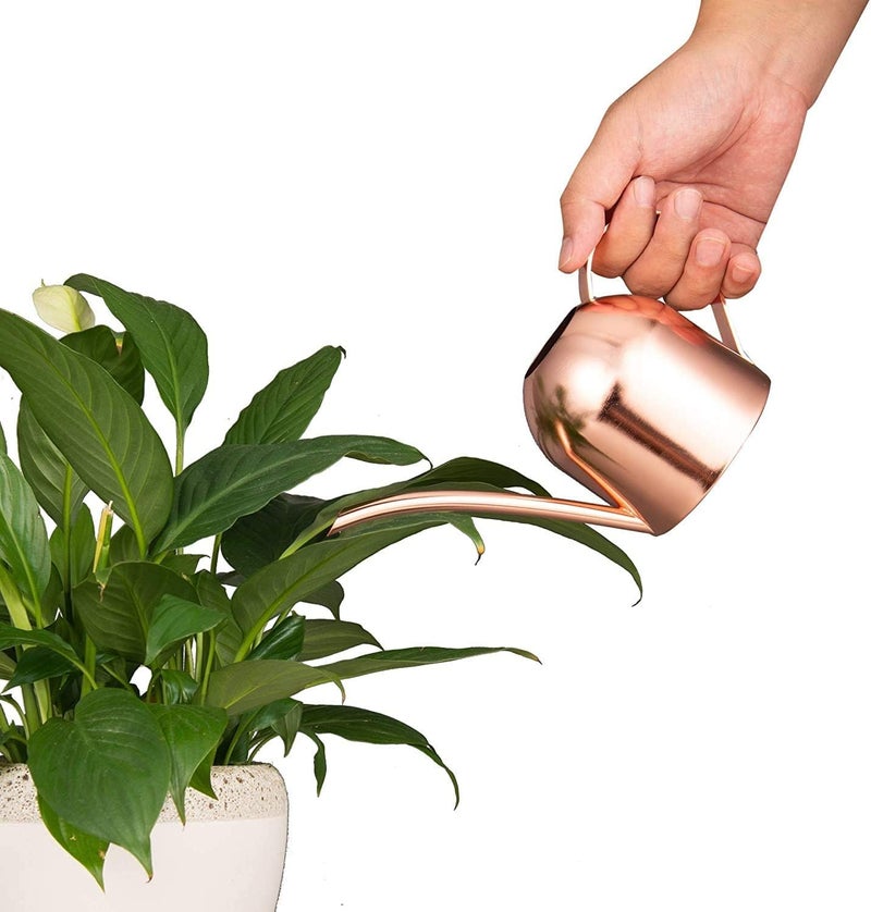 IMEEA Small Watering Can for Indoor Plants Stainless Steel Indoor Watering Can with Long Spout, 15oz/450ml - Image 3