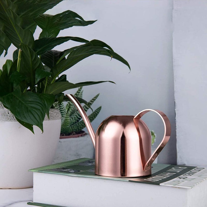 IMEEA Small Watering Can for Indoor Plants Stainless Steel Indoor Watering Can with Long Spout, 15oz/450ml - Image 5