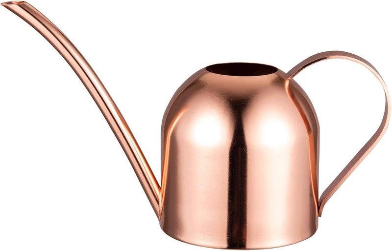 IMEEA Small Watering Can for Indoor Plants Stainless Steel Indoor Watering Can with Long Spout, 15oz/450ml - Image 1
