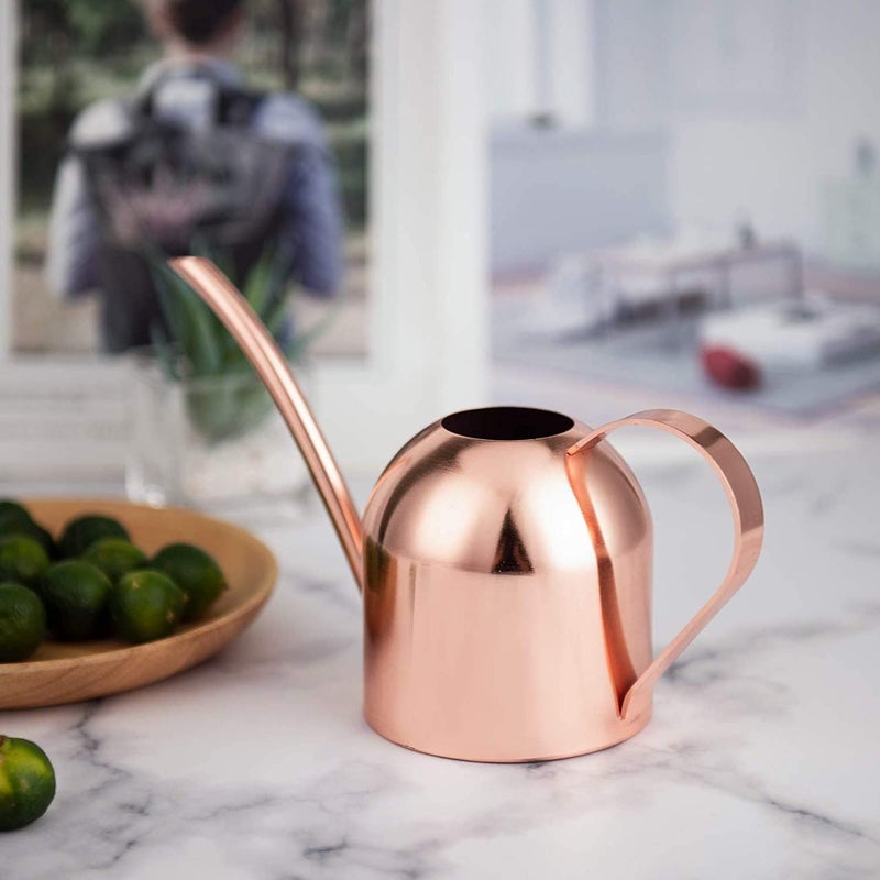 IMEEA Small Watering Can for Indoor Plants Stainless Steel Indoor Watering Can with Long Spout, 15oz/450ml - Image 4
