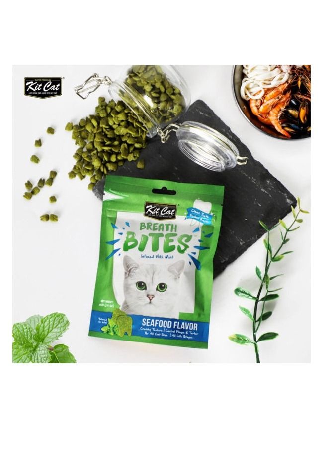 Kit Cat Breath Bites Seafoods Flavor Infused Mint Cat Treats 60g - Image 2
