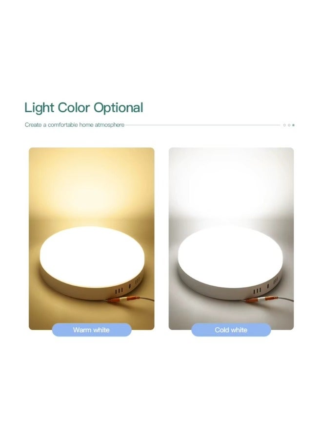 48W LED Surface Ceiling Light White 30cm