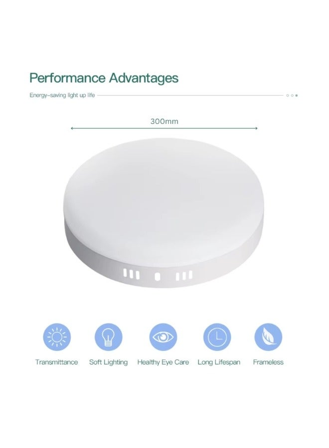 48W LED Surface Ceiling Light White 30cm