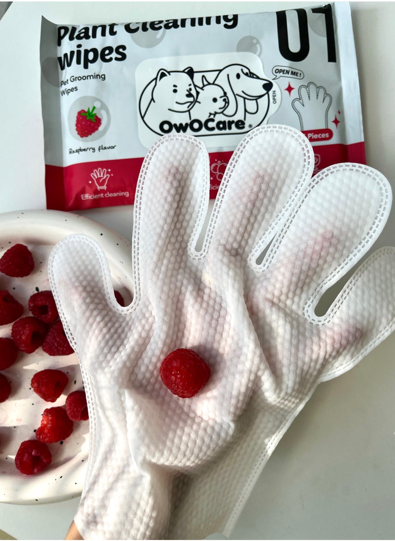 owocare - Pet Wipes Glove Raspberry Scent 5pics - Image 1