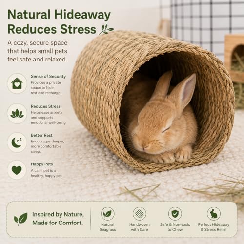 PEMAR Natural Seagrass Bunny Tunnel - Handwoven Rabbit Hideaway & Edible Grass House - Safe Chew Toy, Bed for Guinea Pigs, Chinchillas, Rats & Indoor Bunnies - Small Animal Enrichment (9x8.3x6.3”) - Image 5