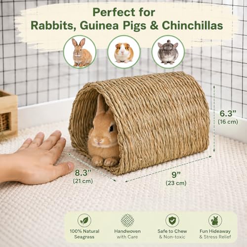 PEMAR Natural Seagrass Bunny Tunnel - Handwoven Rabbit Hideaway & Edible Grass House - Safe Chew Toy, Bed for Guinea Pigs, Chinchillas, Rats & Indoor Bunnies - Small Animal Enrichment (9x8.3x6.3”) - Image 2