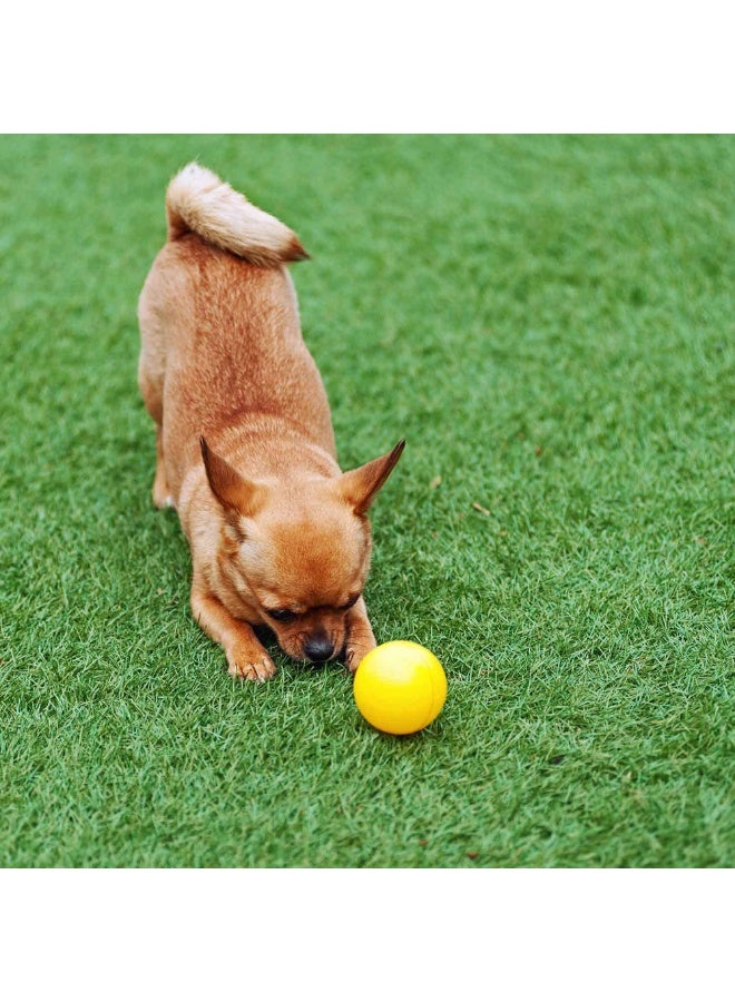 LINGWEI 2x5 Meter Realistic Artificial Grass Rug Dog Grass Mat with Drainage Holes Fake Grass Turf - Image 5