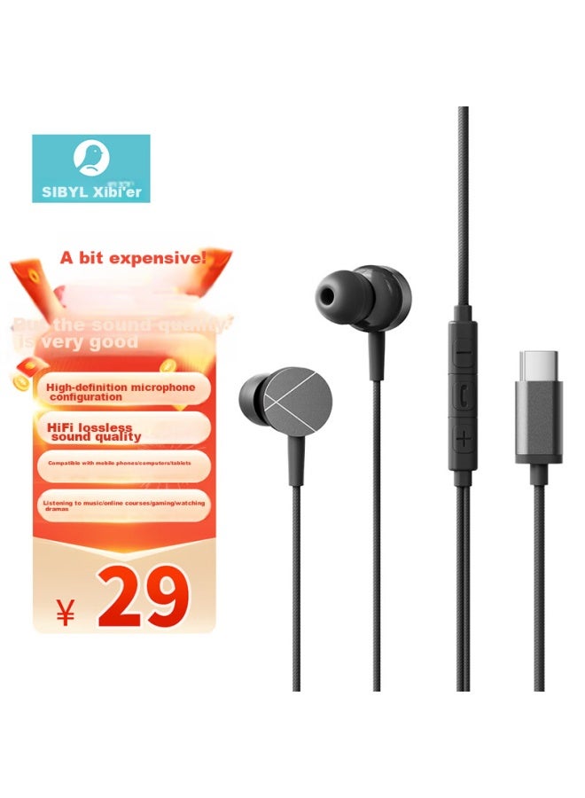 Sibyl Wired Earphones, In-ear Type-c Flat Plug, Gaming Noise-canceling High-quality Sound, Laptop Karaoke With Microphone, For Pubg - Image 1